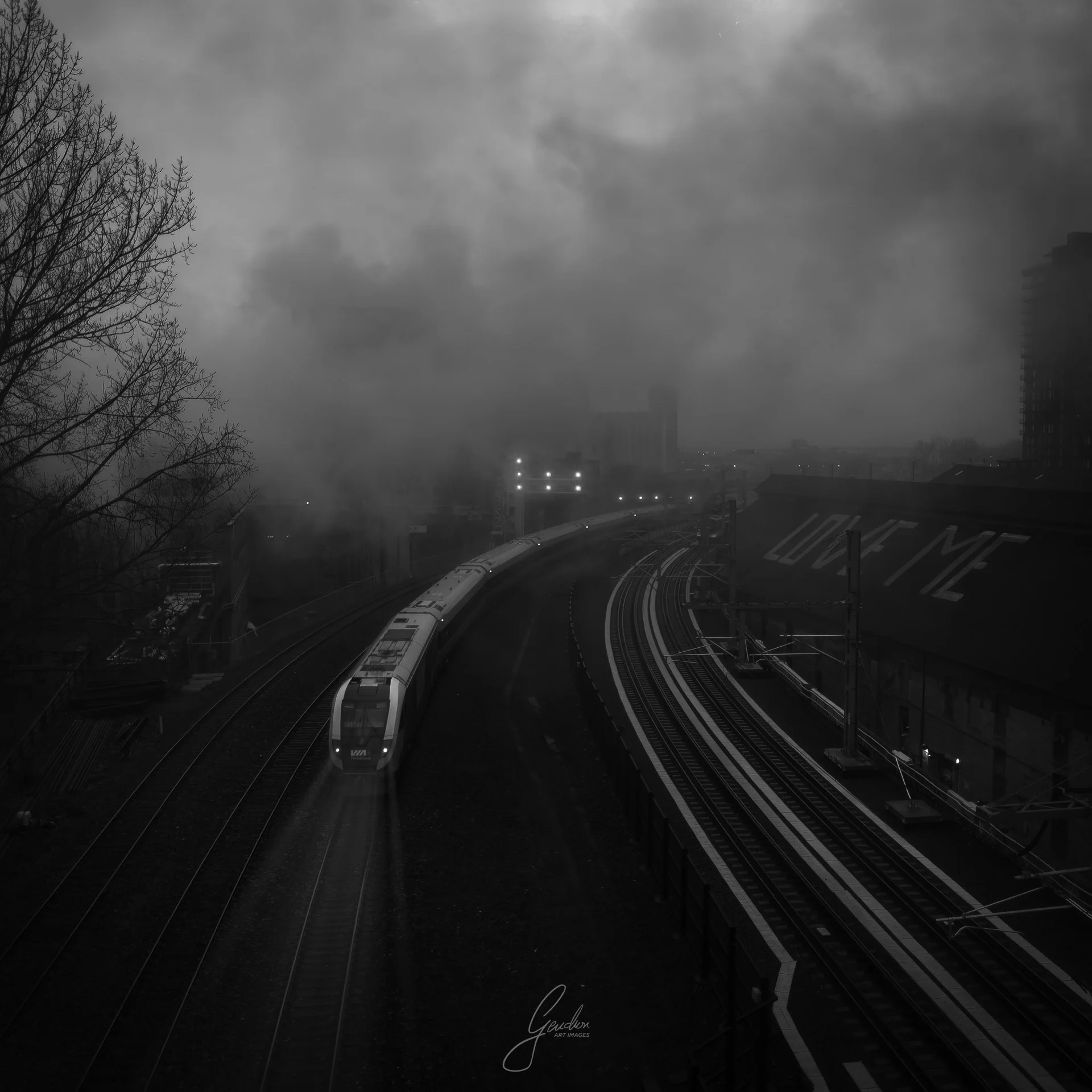 Entre rails et brumes