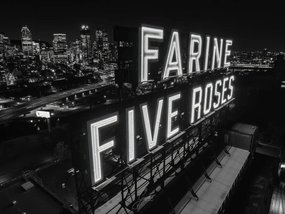 Farine Five Roses #2